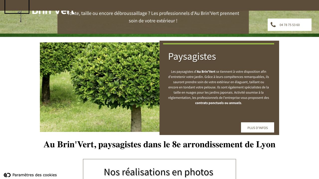 Capture du site de Au Brin'Vert